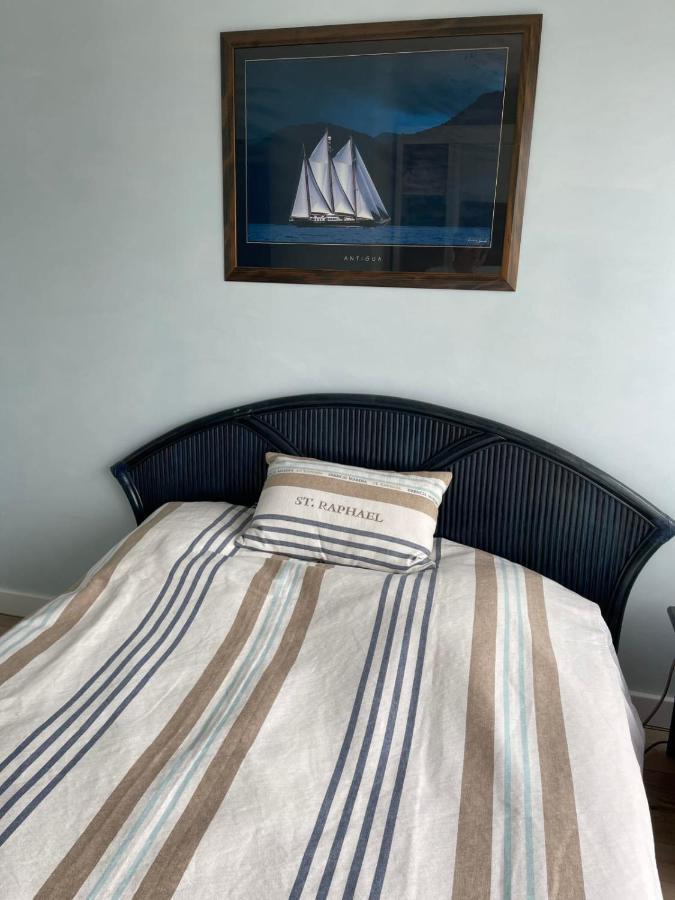 Le Flamant Appartement 2 Chambres Dernier Etage Vue Mer 勒格罗-迪鲁瓦 外观 照片