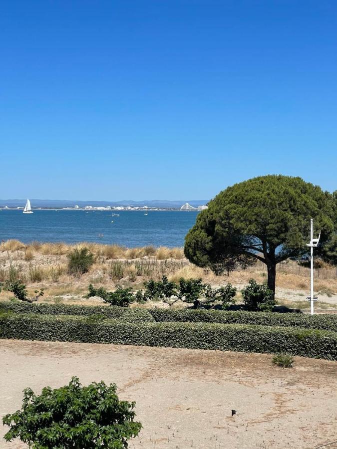Le Flamant Appartement 2 Chambres Dernier Etage Vue Mer 勒格罗-迪鲁瓦 外观 照片